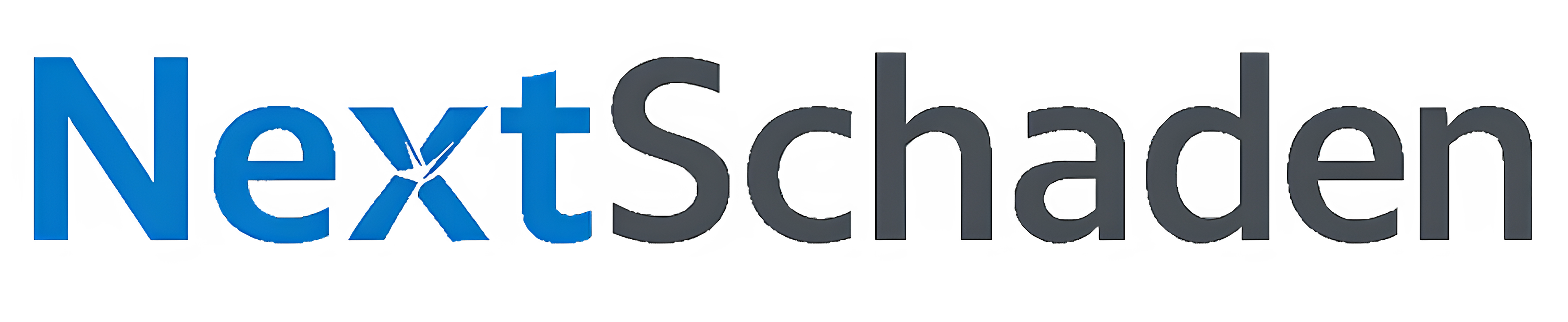 NextSchaden Logo